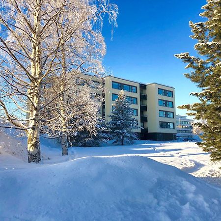 Lumberjack Apartment Ροβανιέμι Εξωτερικό φωτογραφία